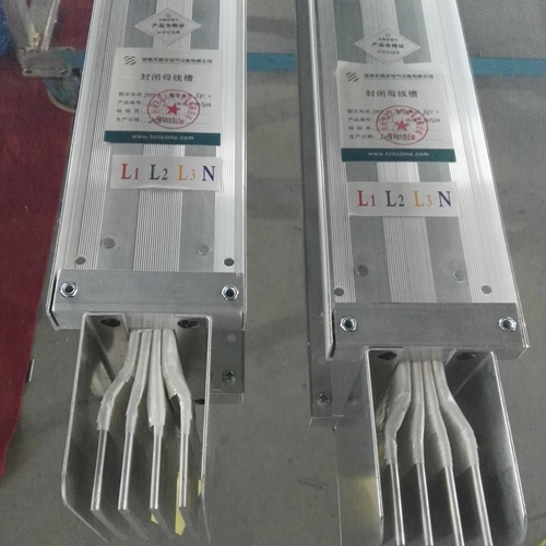 密集型樱桃视频污视频和樱桃视频污视频的區別和特點